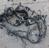 Жгут проводов моторного отсека