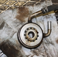 Маслоохладитель (теплообменник) двс MR20DE Б/У оригинал. T31, J10E, JJ10E